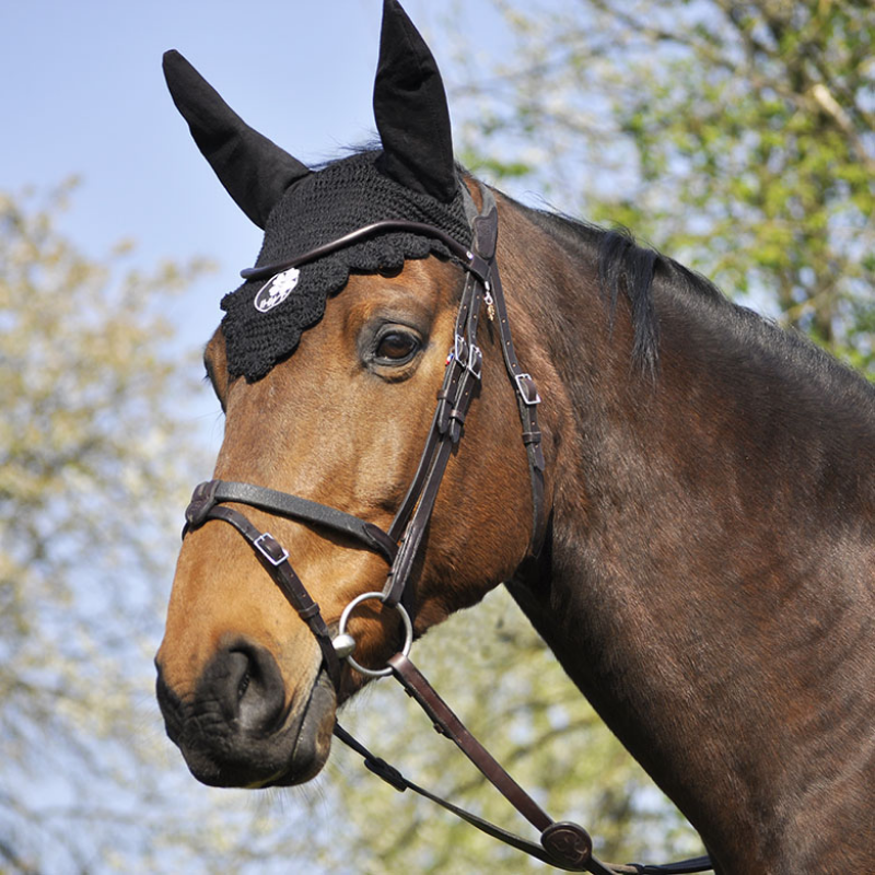 Bridon évolution Soft T - In Horse We Trust | Mors & More