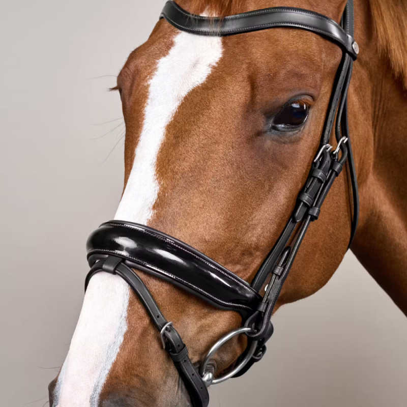 Patent Large Crank Noseband Bridle - Working by Dyon | M&M