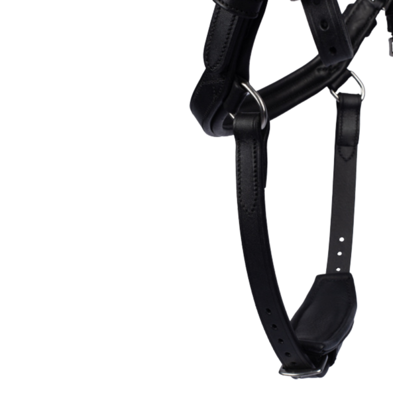 King Edward Bridle by Henrik von Eckermann - PS of Sweden | Mors & More
