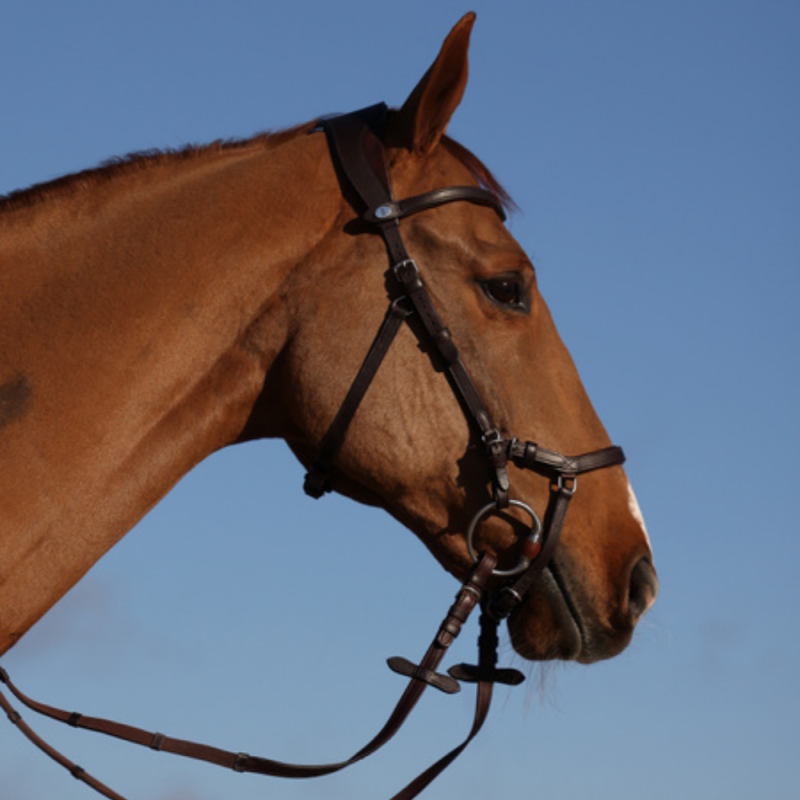 King Edward Bridle by Henrik von Eckermann - PS of Sweden | Mors & More