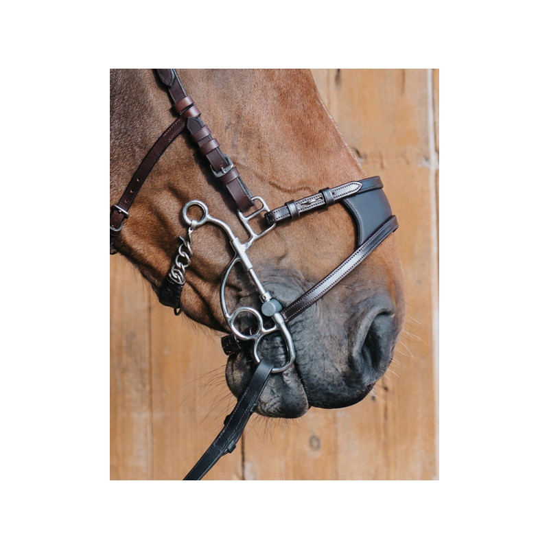 Branches courtes de Tandem ou Hackamore OTTO d'occasion- Fager | M&M