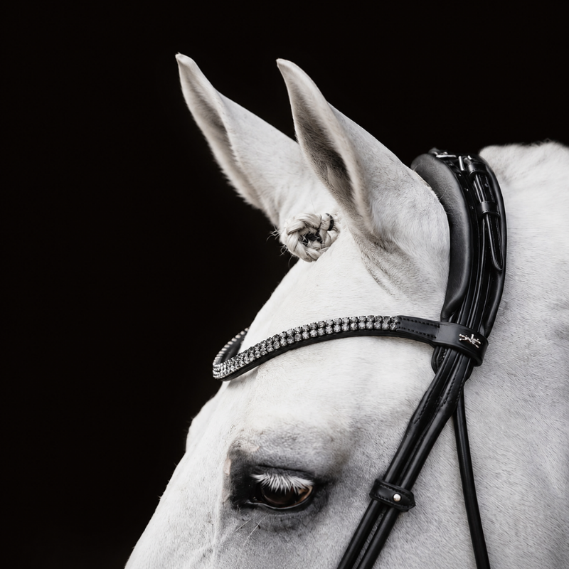 Bridle SP Isabell Werth Satchmo - Schockemöhle | Mors & More