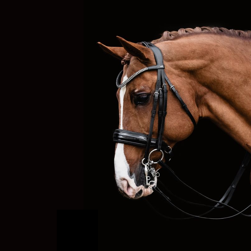 Double Bridle SP Monticelli - Schockemöhle | Mors & More