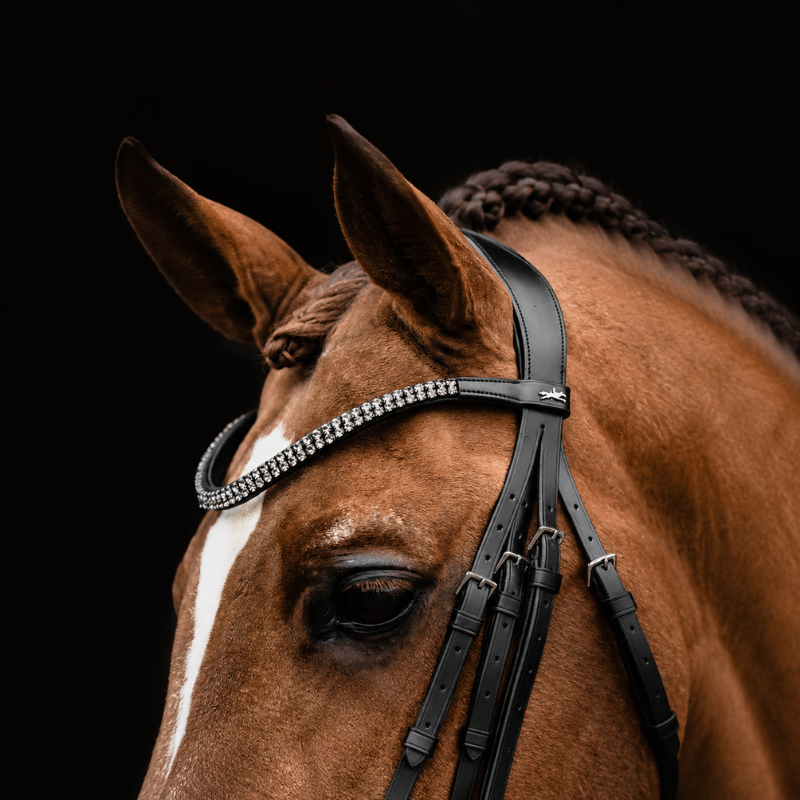Double Bridle SP Monticelli - Schockemöhle | Mors & More