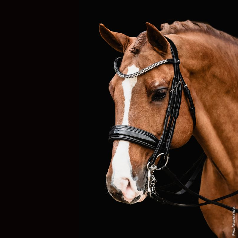 Double Bridle SP Monticelli - Schockemöhle | Mors & More