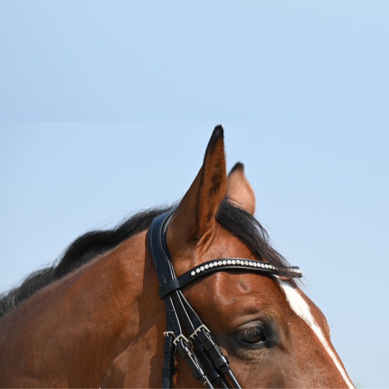 Double Bridle Select Venice - Schockemöhle | Mors & More