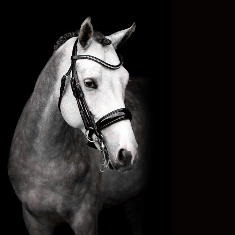 Double Bridle Select Venice - Schockemöhle | Mors & More