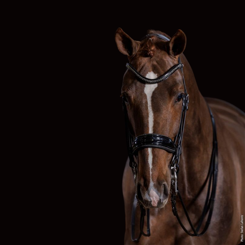 Select Bridle Milan Glam - Schockemöhle | Mors & More