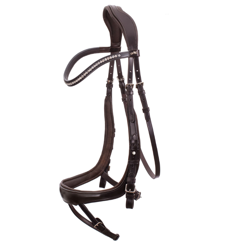 Bridle Equitus Beta - Schockemöhle | Mors & More