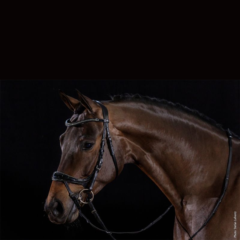 Bridle Equitus Beta Glam - Schockemöhle | Mors & More