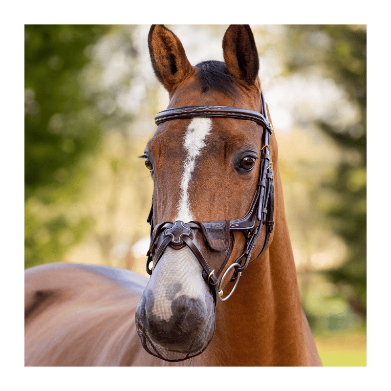 Grackle-Compatible Nose Net - LeMieux | Mors & More
