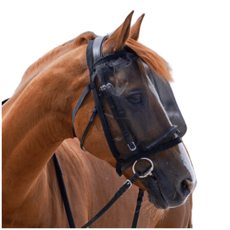 Masque anti-mouche sans oreille - Waldhausen | Mors & More