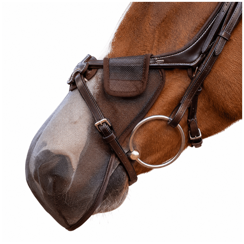 Grackle-Compatible Nose Net - LeMieux | Mors & More
