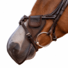 Grackle-Compatible Nose Net - LeMieux | Mors & More