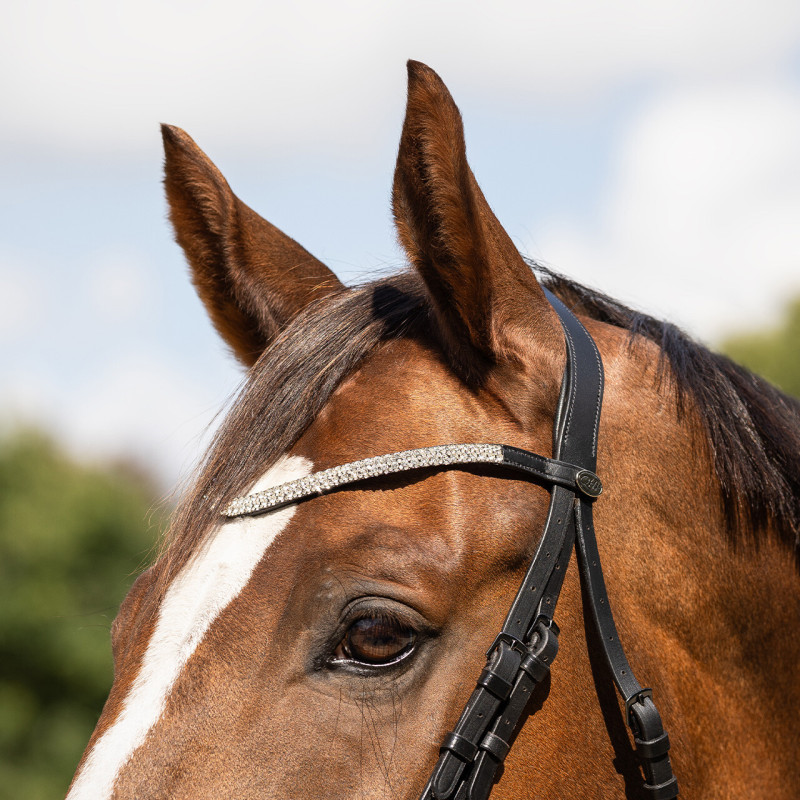 V-shaped browband with strass - Presteq | Mors & More