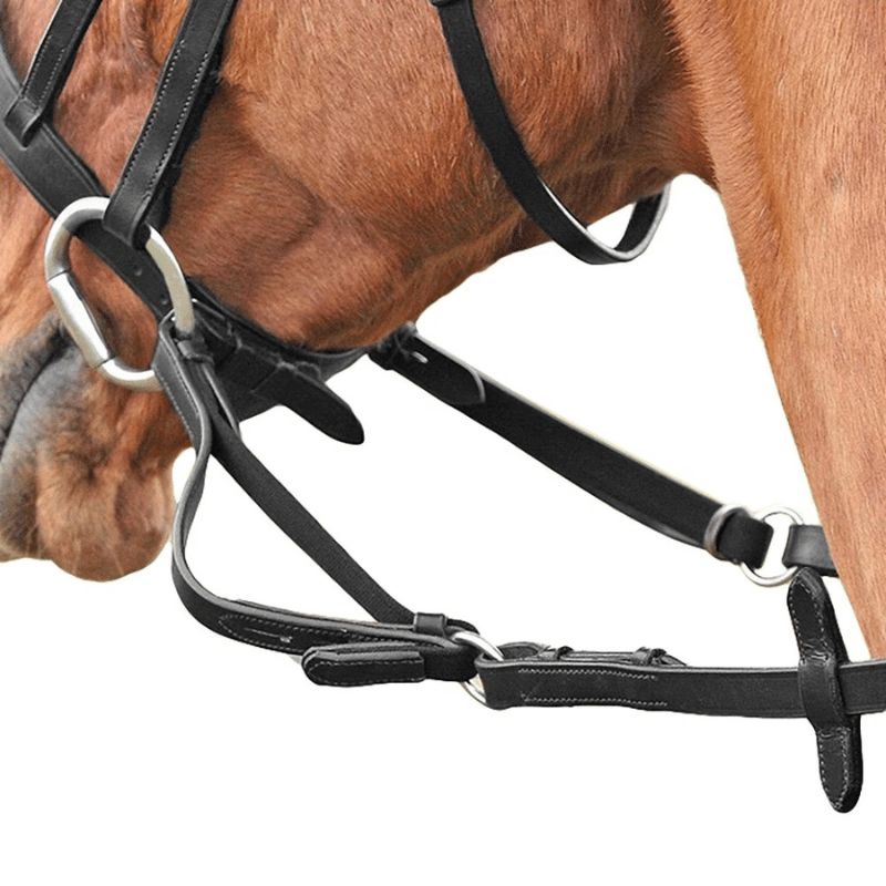 Flexi rênes amortisseur - Shires
