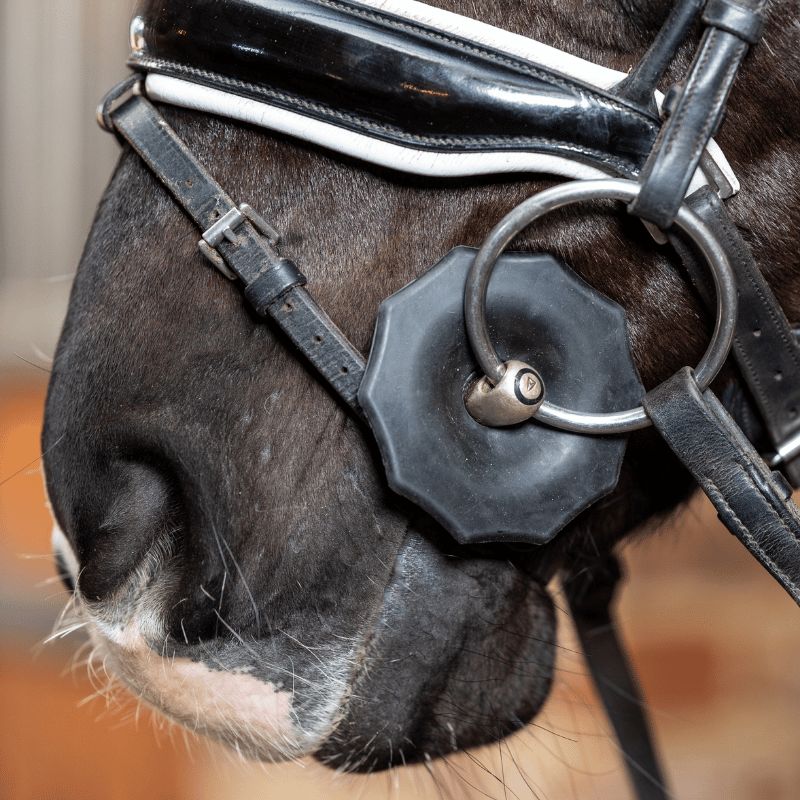Contoured Bit Guards - Le Mieux