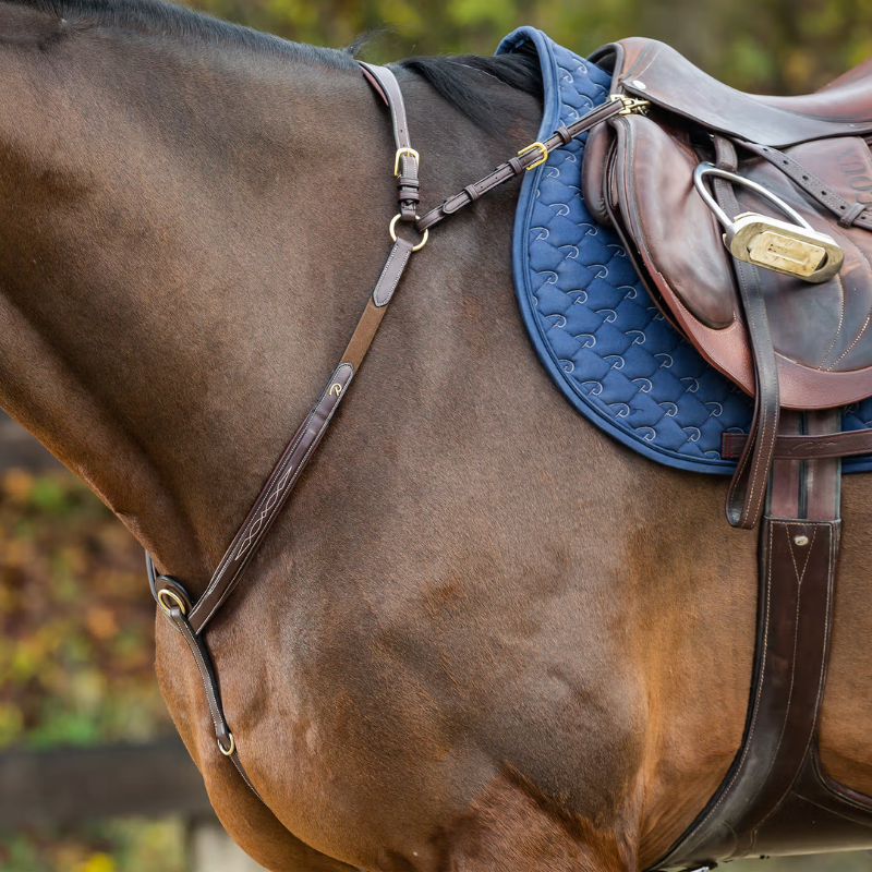 Collier de chasse à pont - Dyon | Mors & More