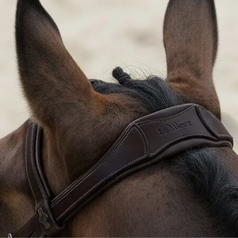 Arika Flash Bridle - LeMieux | Mors & More