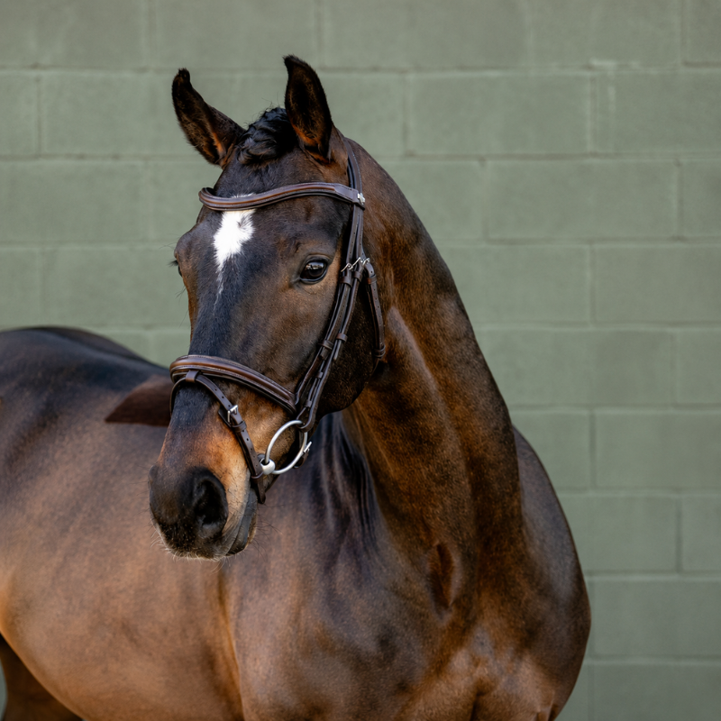Arika Flash Bridle - LeMieux | Mors & More