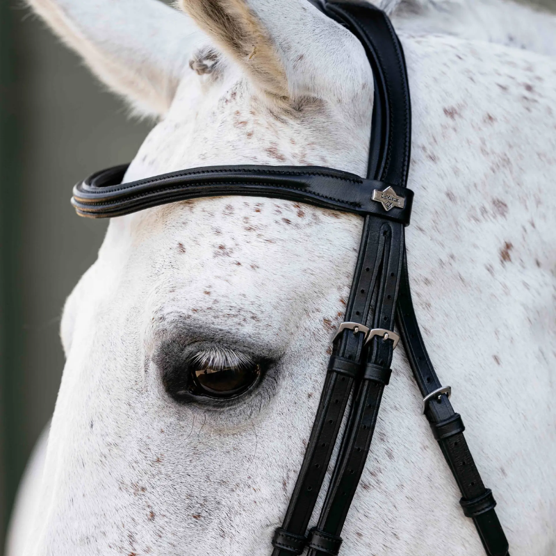 Arika Flash Bridle - LeMieux | Mors & More