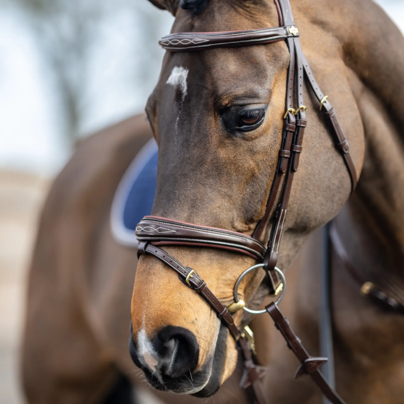 Bridon Competition Flash - Lemieux | Mors & More