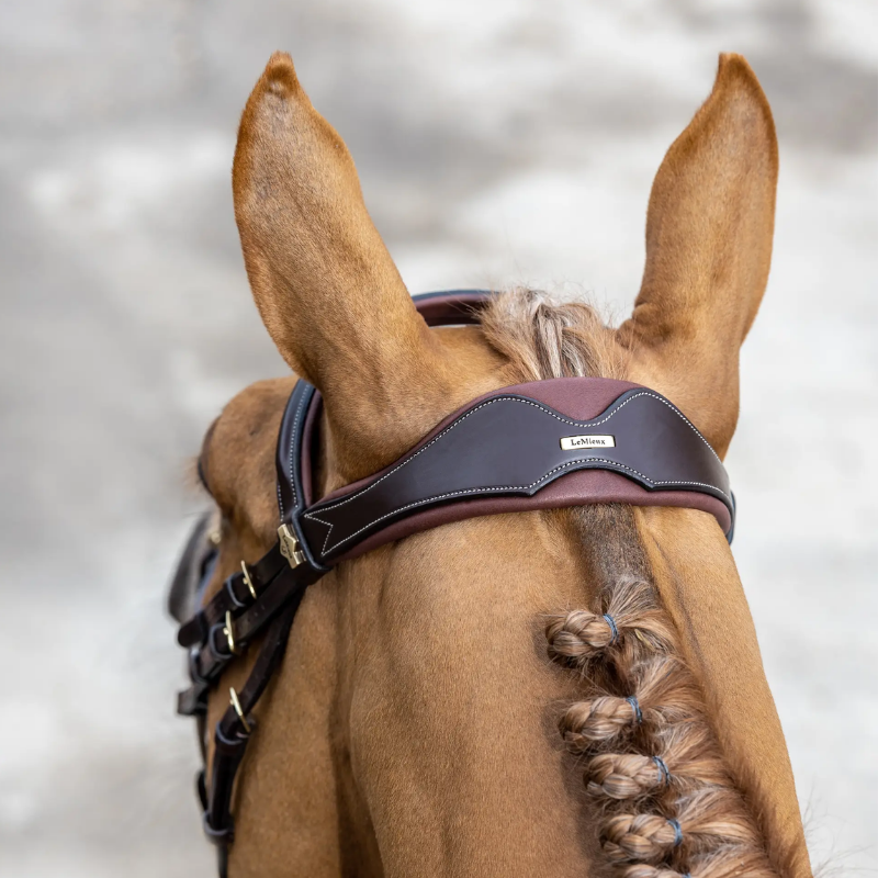 Bridon Competition Flash - Lemieux | Mors & More