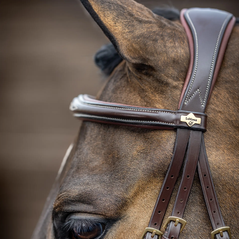 Bridon Competition Flash - Lemieux | Mors & More