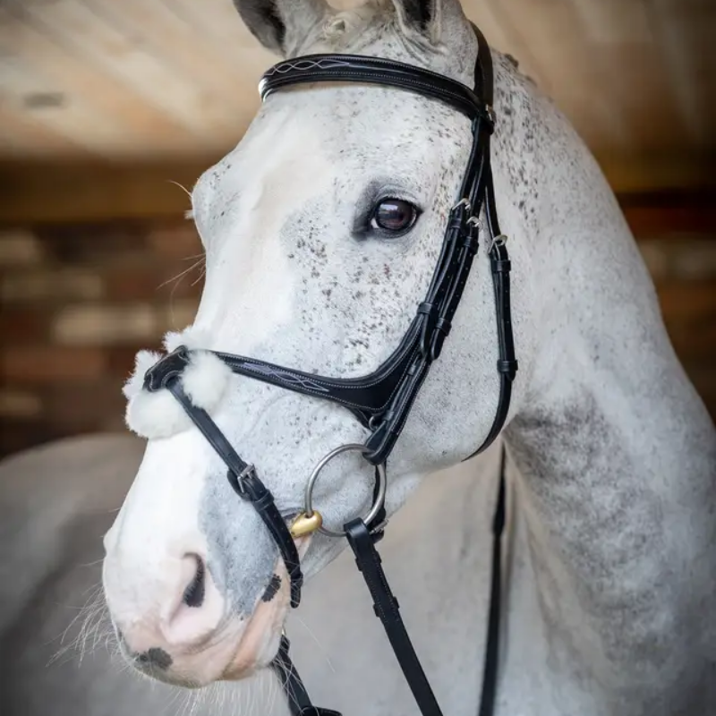 Cross noseband Bridle - LeMieux | Mors & More