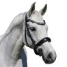 Bridon Elite Munich - ERIC THOMAS
