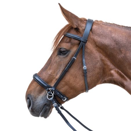 Bitless Bridle Star - Waldhausen
