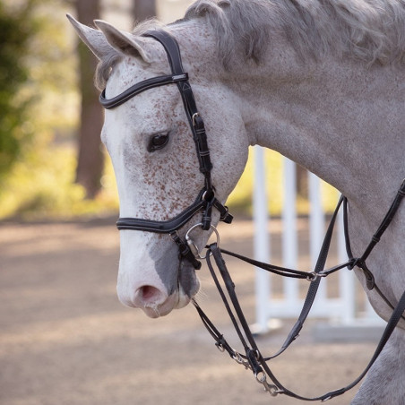 Howlett Training Aid with Reins Origin - Jump'in | Mors & More