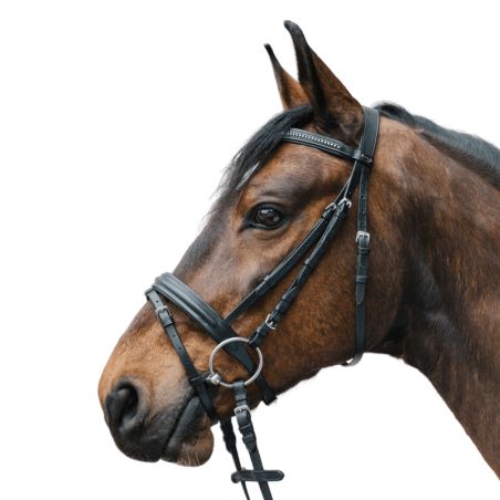 Bridon Star Diamond Shetland - Waldhausen