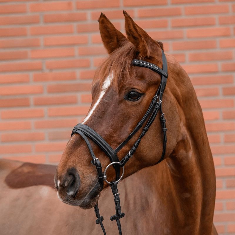Bridon Star Diamond Shetland - Waldhausen