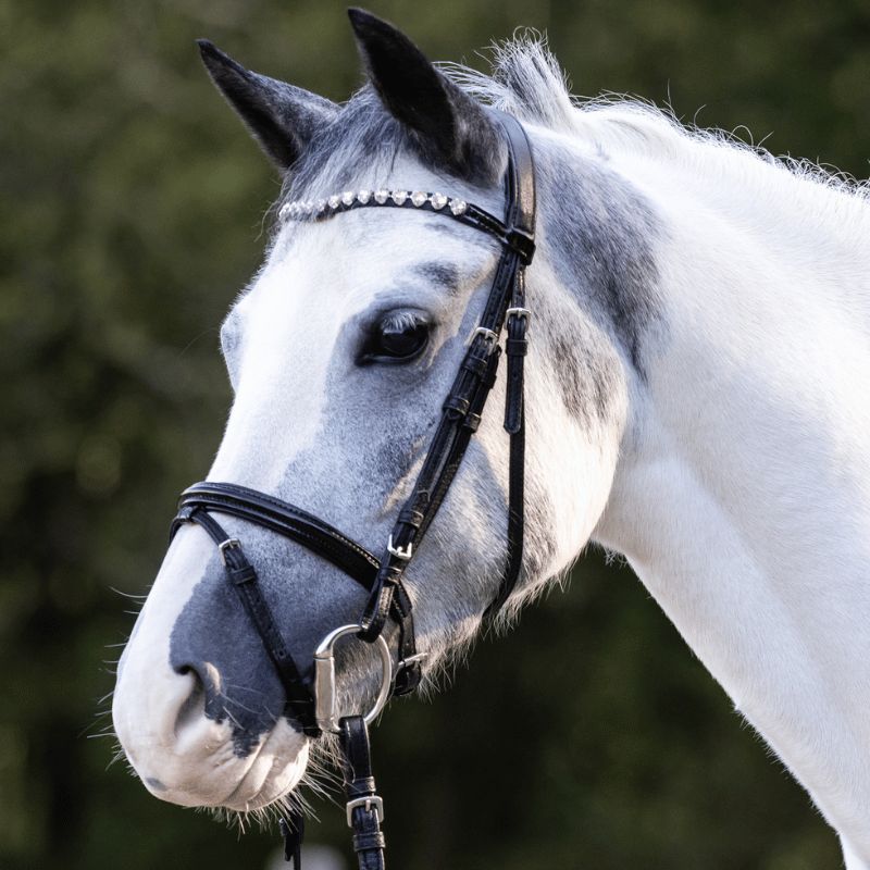 Shetland Happy Hearts bridle - Waldhausen