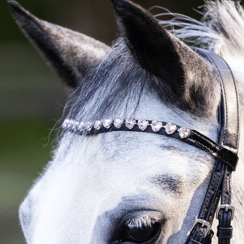 Shetland Happy Hearts bridle - Waldhausen
