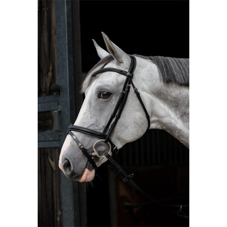 Merano Pro line Bridle - HFI | Mors & More