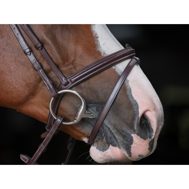 Bridon Pro Line Merano - HFI | Mors & More