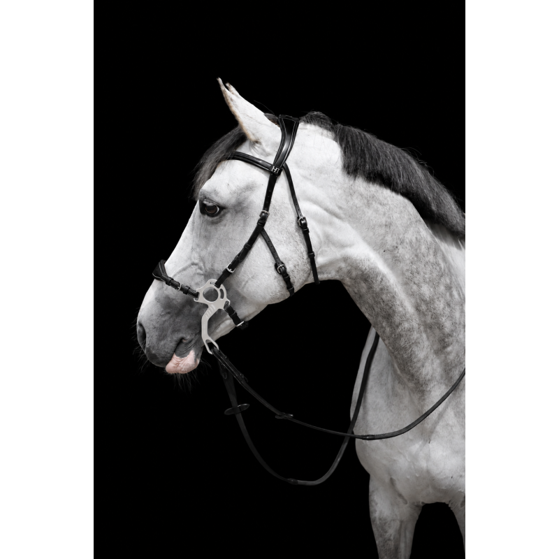 Bridon Hackamore Pro Line Monopoli - HFI| Mors & More