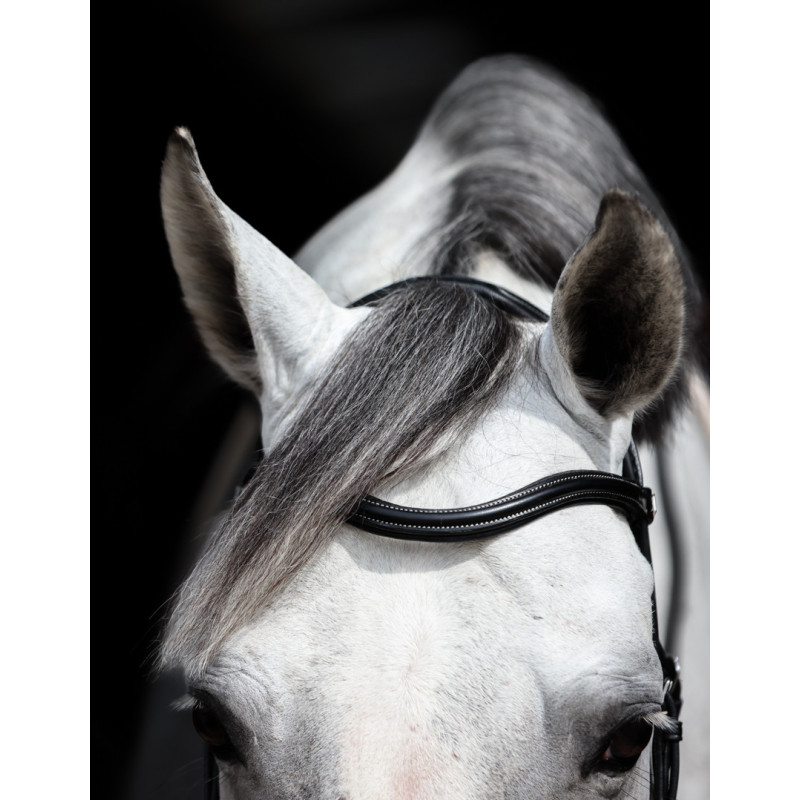 Bridon Hackamore Pro Line Monopoli - HFI| Mors & More