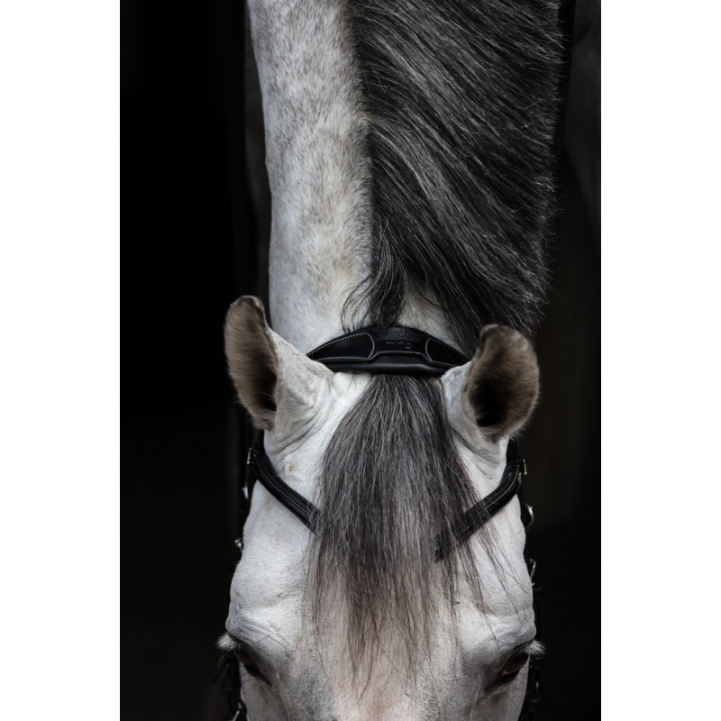 Monopoli Pro line Hackamore Bridle - HFI | Mors & More