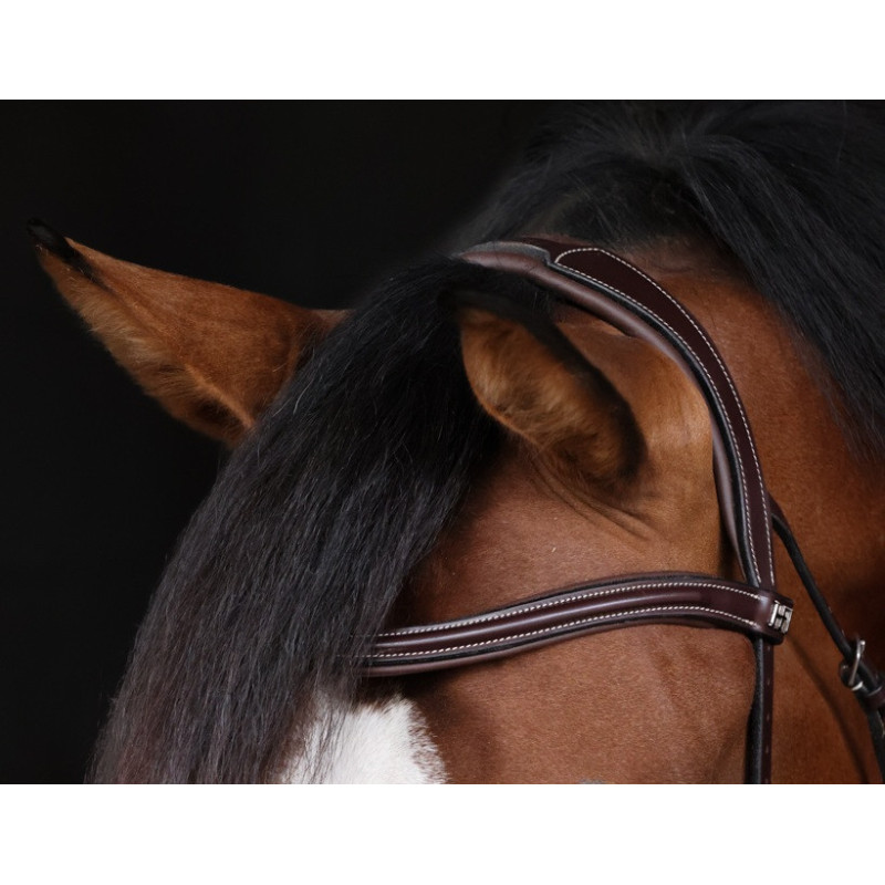 Bridon Hackamore Pro Line Monopoli - HFI| Mors & More
