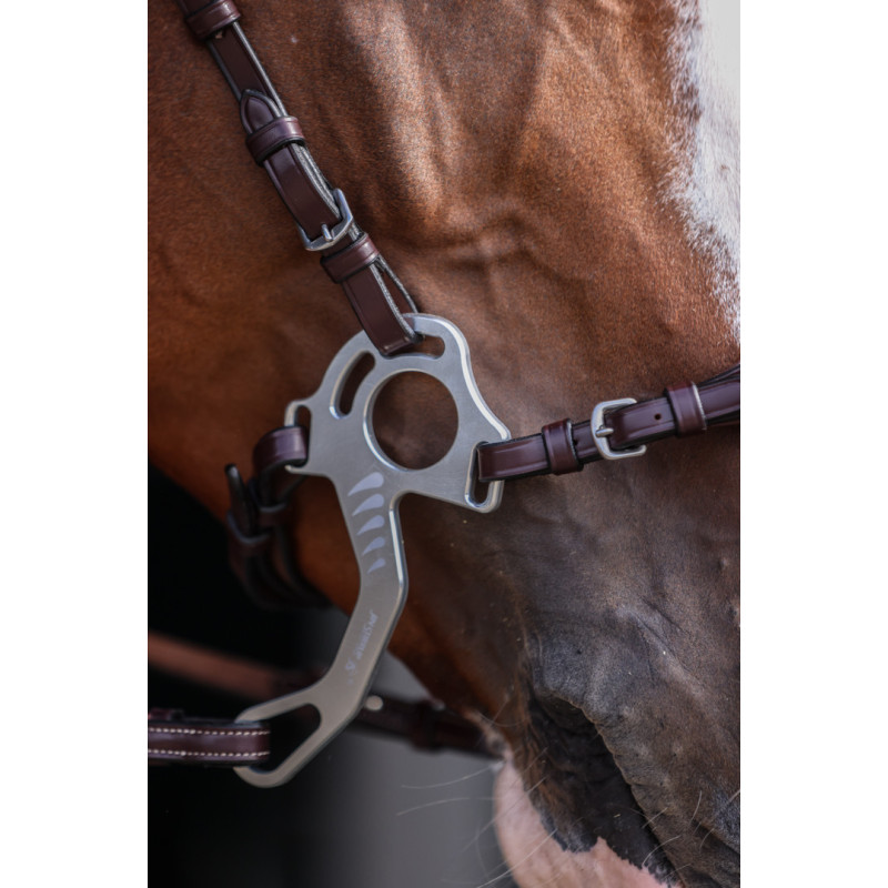 Monopoli Pro line Hackamore Bridle - HFI | Mors & More