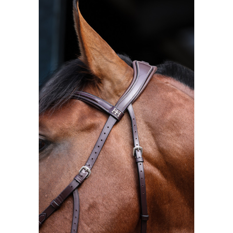 Monopoli Pro line Hackamore Bridle - HFI | Mors & More