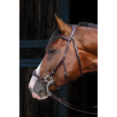Bridon Hackamore Pro Line Monopoli - HFI| Mors & More