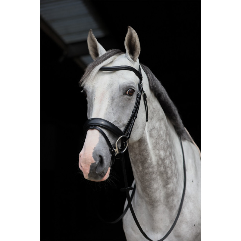 Bridon Pro Line Venezia - HFI | Mors & More