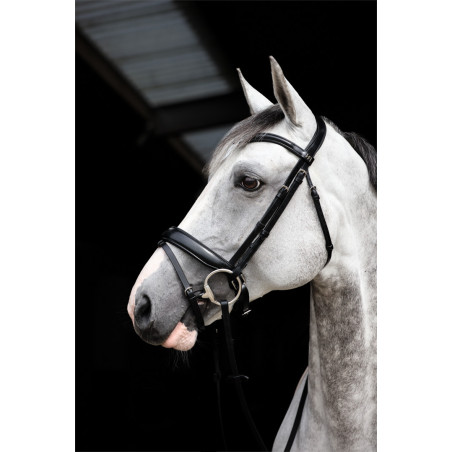Verona Pro line Bridle - HFI | Mors & More