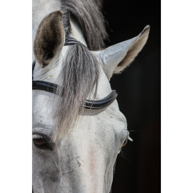 Verona Pro line Bridle - HFI | Mors & More