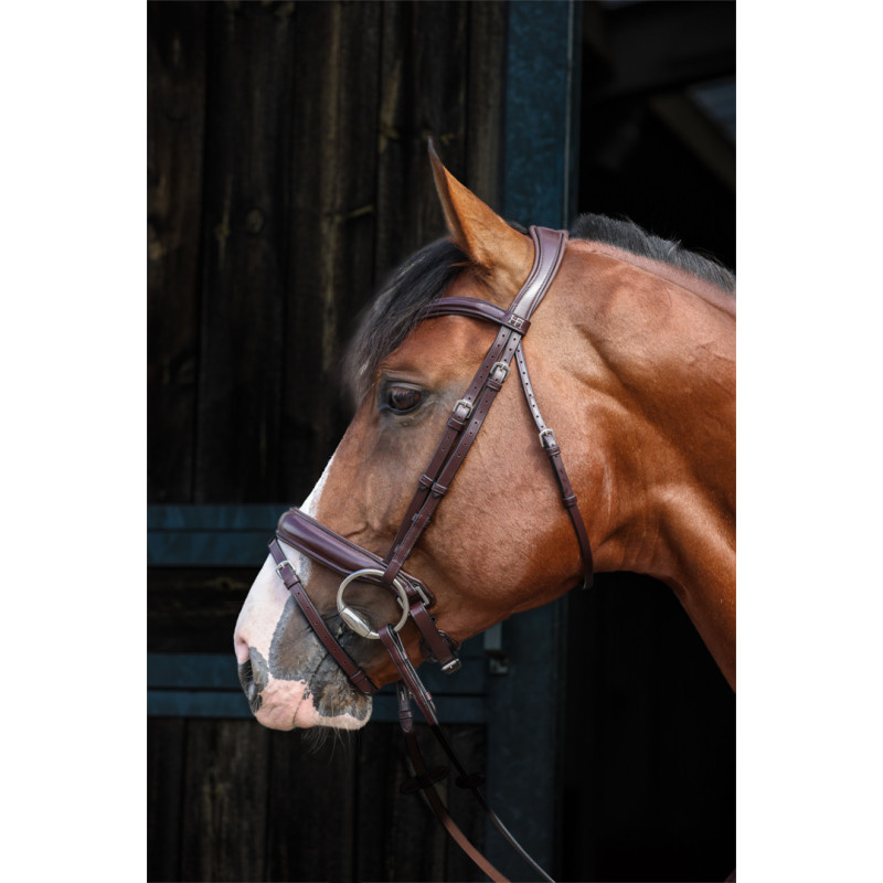 Bridon Pro Line Venezia - HFI | Mors & More