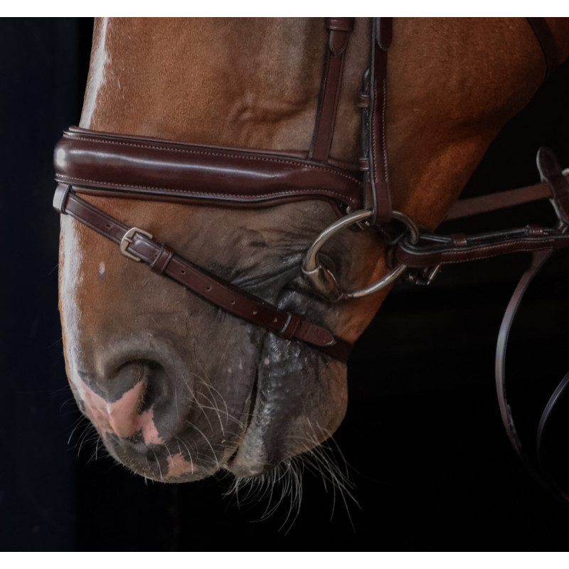 Bridon Pro Line Venezia - HFI | Mors & More